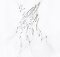Pencil Sketch 18